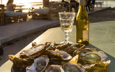 Peche d’huitres sauvage sur le littoral francais : spots et periodes